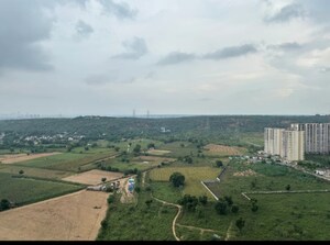 3 BHK Apartment For Sale in Signature Global Golf Greens, Sector 79