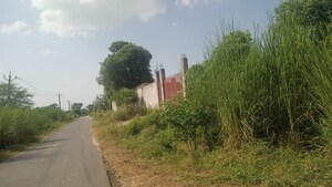  Industrial Plot For Sale in Chaupanki