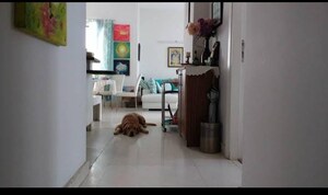 Living Room in 3 BHK Apartment at Ireo The Grand Arch, Sector 58 – for Sale