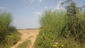 Plot Area in  Industrial Plot at Chaupanki – for Sale