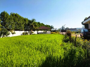  Plot For Sale in Bisankhedi