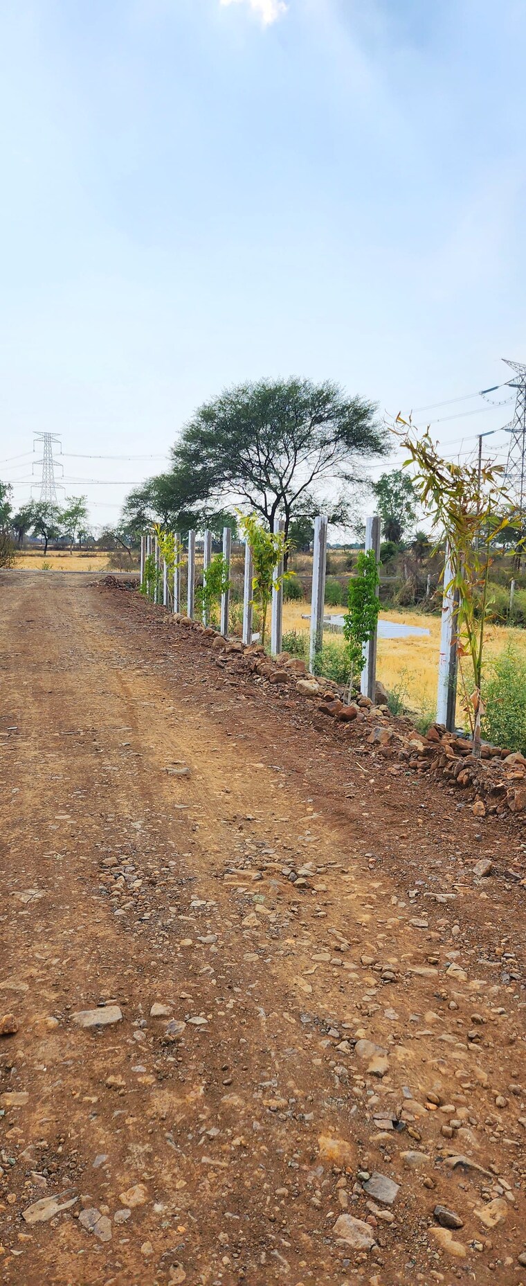 undefined, barela road  800 Sq.Ft. Plot In Barela Road Jabalpur 9275336