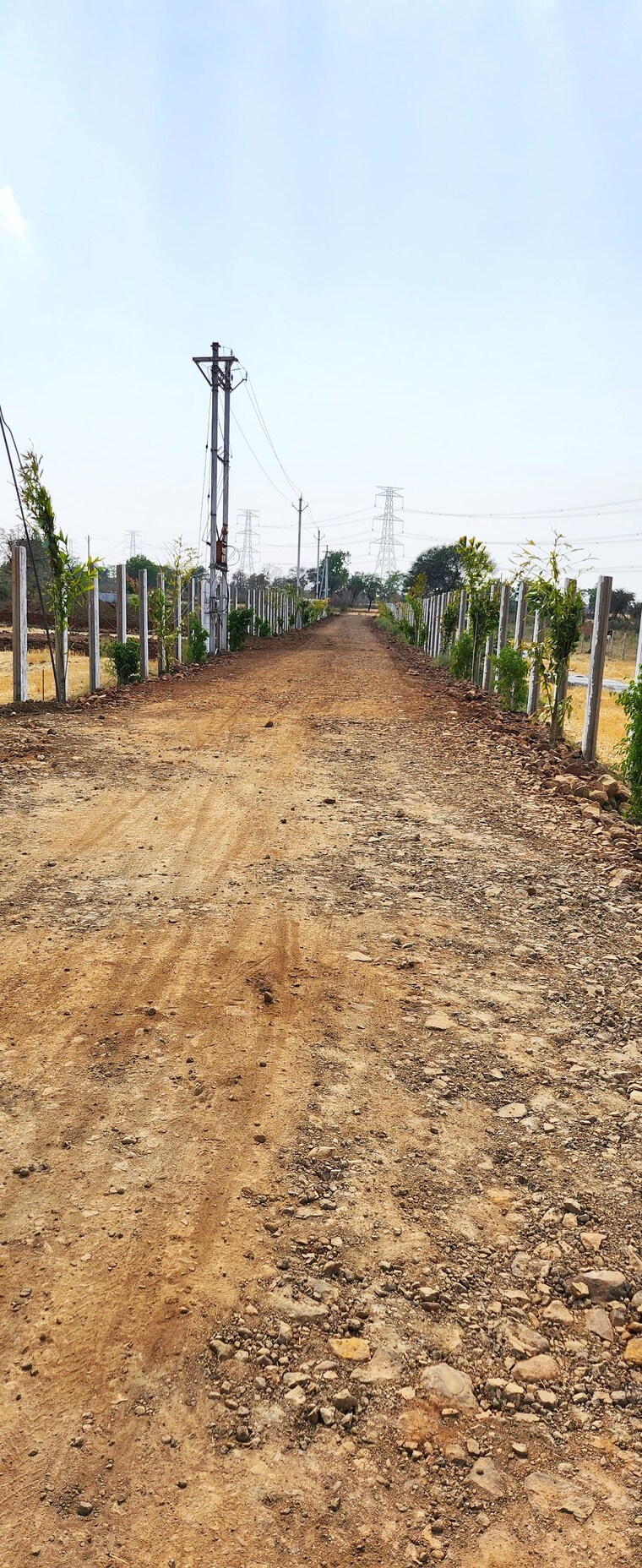 undefined, barela road  800 Sq.Ft. Plot In Barela Road Jabalpur 9275336