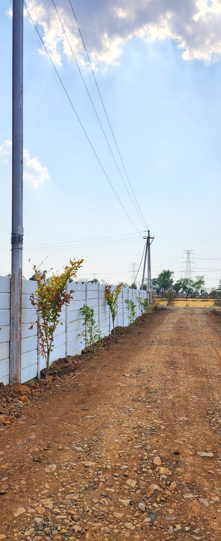undefined, barela road  800 Sq.Ft. Plot In Barela Road Jabalpur 9275336