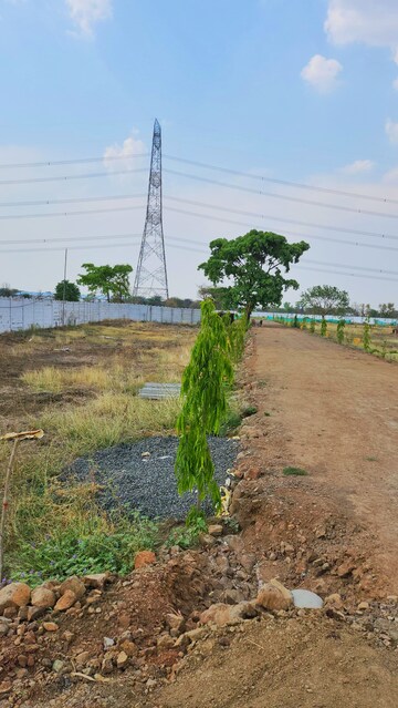 Plot Area in  Plot at Barela Road – for Sale