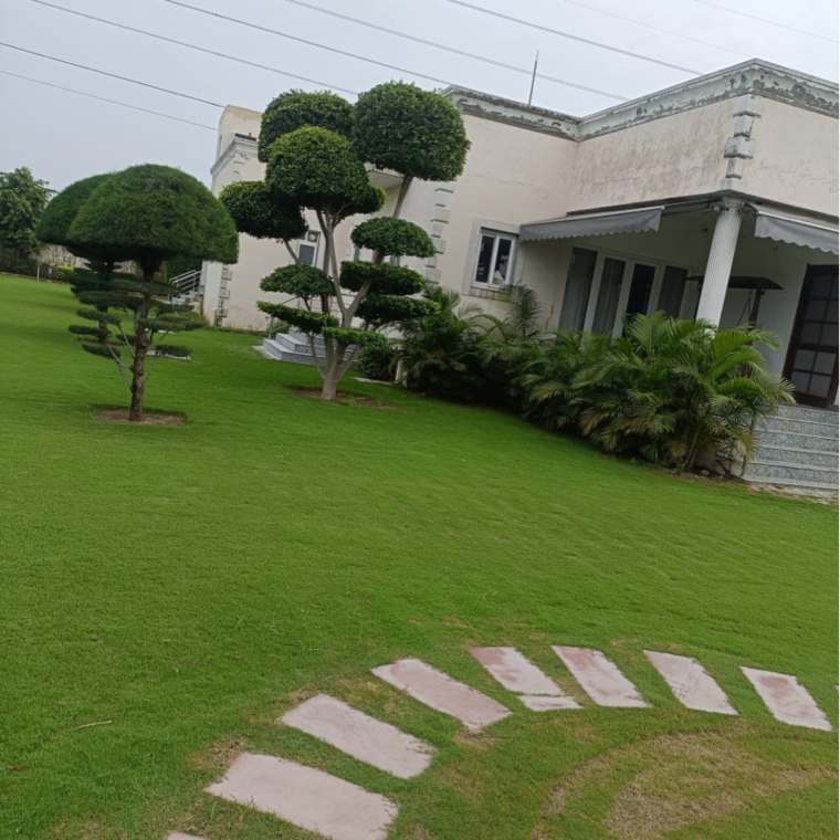 Garden, dlf-central-67 2 Bedroom 10800 Sq.Ft. Independent House In Sector 67 Gurgaon 9275450
