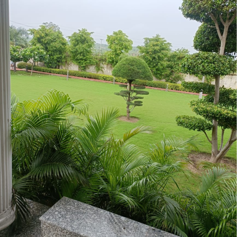 Garden, dlf-central-67 2 Bedroom 10800 Sq.Ft. Independent House In Sector 67 Gurgaon 9275450