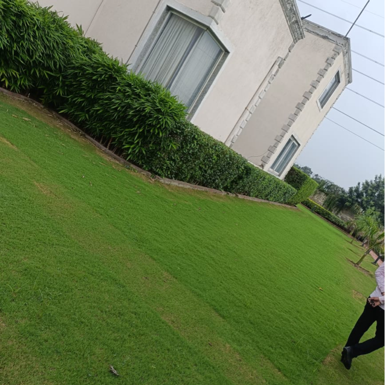 Garden, dlf-central-67 2 Bedroom 10800 Sq.Ft. Independent House In Sector 67 Gurgaon 9275450