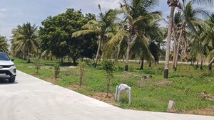Plot Area in  Plot at Dindugal nh – for Sale