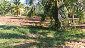 Plot Area in  Plot at Dindugal nh – for Sale