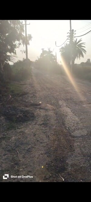 Plot Area in  Plot at Sector 87 – for Sale