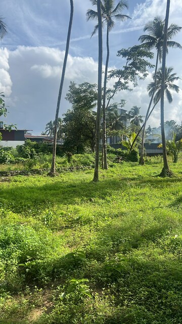 Plot Area in  Plot at Cheroor – for Sale