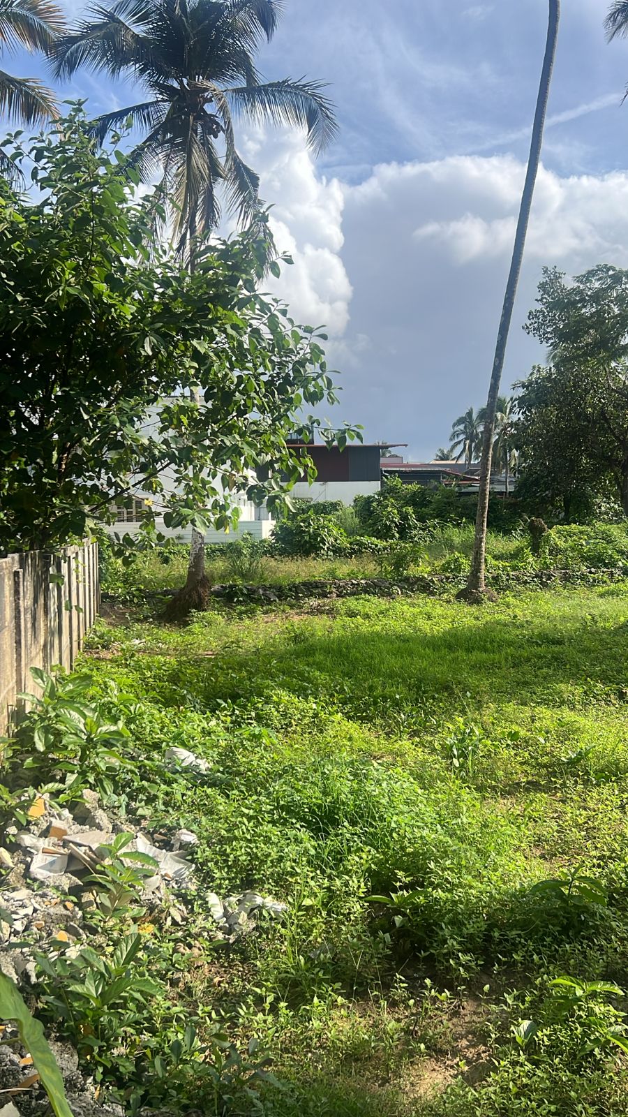 Plot For Sale in Cheroor