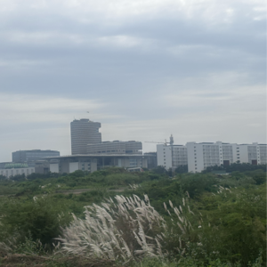 Plot Area in  Plot at Tadepalli – for Sale