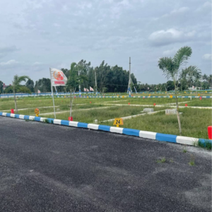  Plot – Exterior View View at Chandapura Anekal Road - for Sale