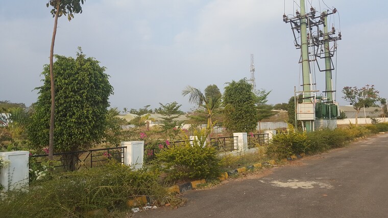 Garden, chandapura  1200 Sq.Ft. Plot In Chandapura Bangalore 9275817