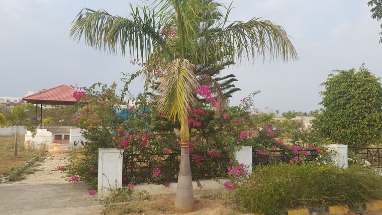 Exterior View, chandapura  1200 Sq.Ft. Plot In Chandapura Bangalore 9275817