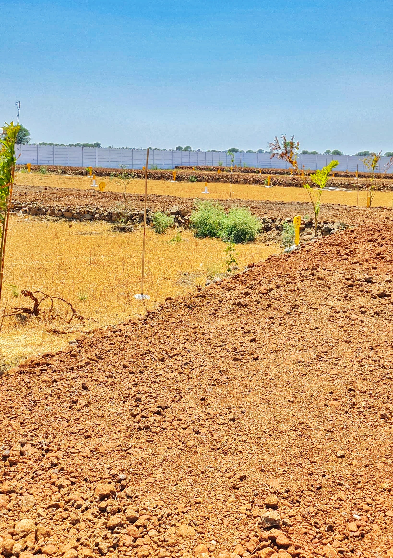 Plot For Sale in Balaji Bliss