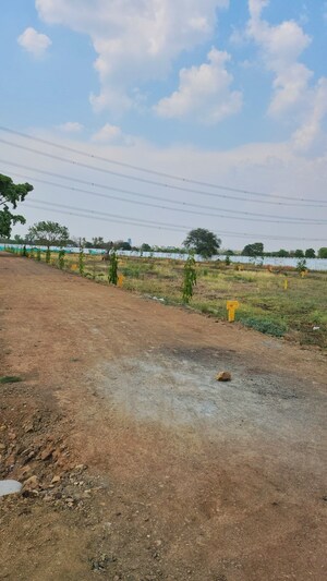 Plot Area in  Plot at Barela Road – for Sale