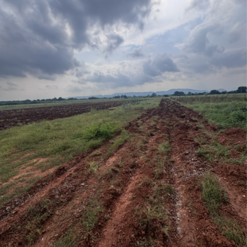  Land – Garden View at Vinchipeta - for Sale