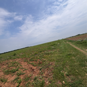  Land – Garden View at Vinchipeta - for Sale