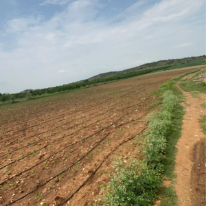 Plot Area in  Land at Vinchipeta – for Sale