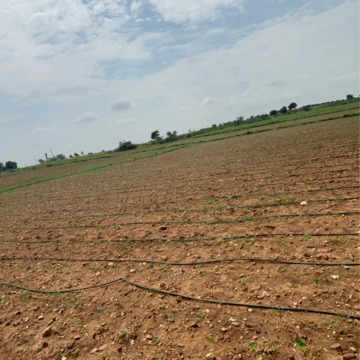 Plot Area in  Land at Vinchipeta – for Sale