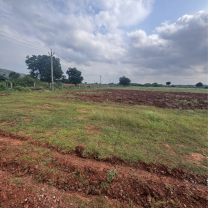 Plot Area in  Land at Vinchipeta – for Sale