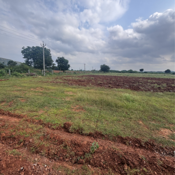 Plot Area in  Land at Vinchipeta – for Sale