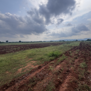 Plot Area in  Land at Vinchipeta – for Sale