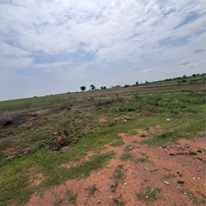 Plot Area in  Land at Vinchipeta – for Sale