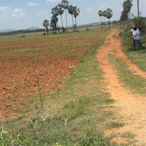 Plot Area in  Land at Vinchipeta – for Sale