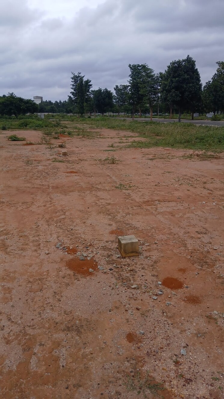 undefined, hoskote  1200 Sq.Ft. Plot In Hoskote Bangalore 9276001