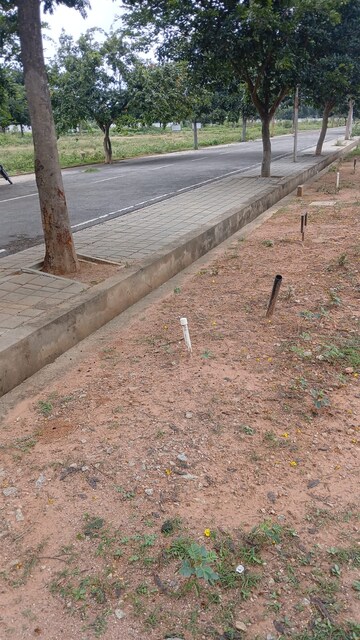 Plot Area in  Plot at Hoskote – for Sale