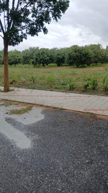 Plot Area in  Plot at Hoskote – for Sale