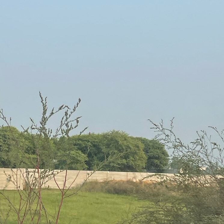 undefined, dameera-city-plots  125 Sq.Yd. Plot In Sector 121 Faridabad 9276264