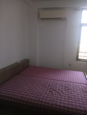 3 BHK Apartment For Rent in Sai Farms, Gomti Nagar