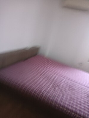 Furnished Amenities in 3 BHK Apartment at Sai Farms, Gomti Nagar – for Rent