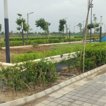 Plot Area in  Plot at Tdi City – for Sale