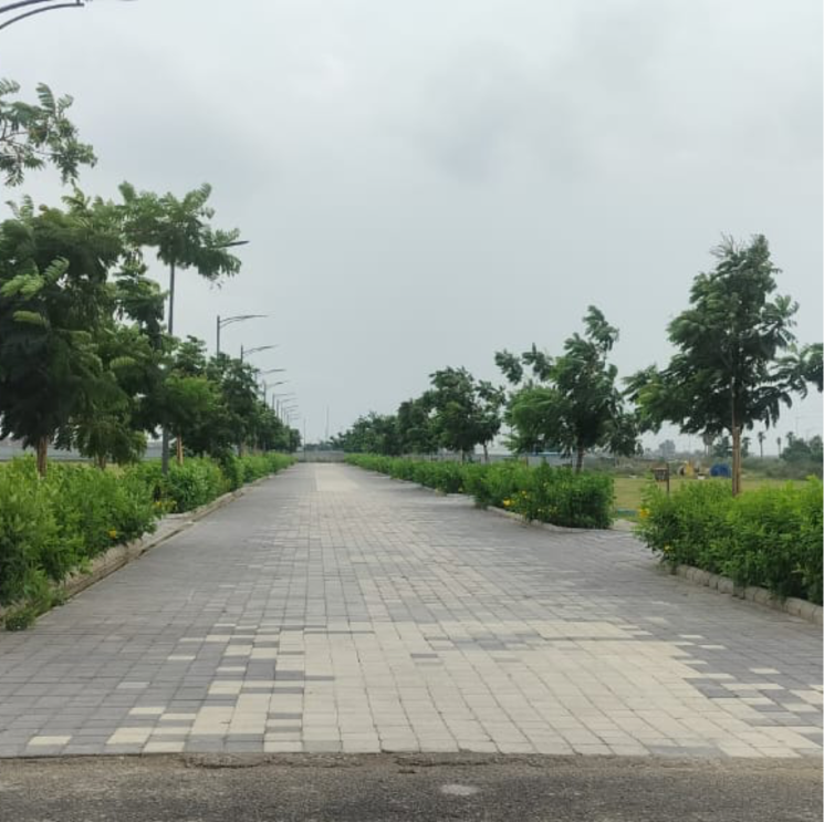 Garden, tdi city  180 Sq.Yd. Plot In Tdi City Panipat 9276493