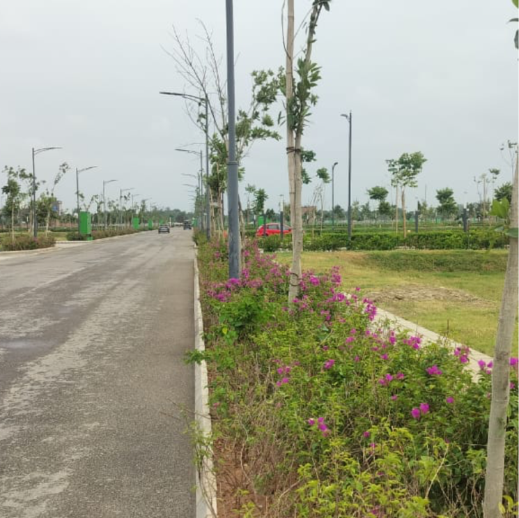 Garden, tdi city  180 Sq.Yd. Plot In Tdi City Panipat 9276493
