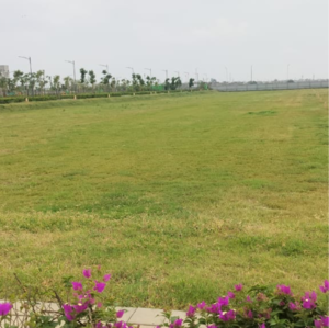 Plot Area in  Plot at Tdi City – for Sale