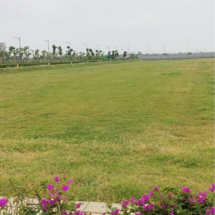 undefined, tdi city  180 Sq.Yd. Plot In Tdi City Panipat 9276493