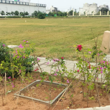 Plot Area in  Plot at Tdi City – for Sale