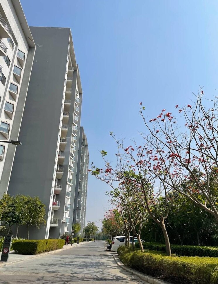 Exterior View, ireo-skyon 4 Bedroom 2791 Sq.Ft. Apartment In Sector 60 Gurgaon 9276683