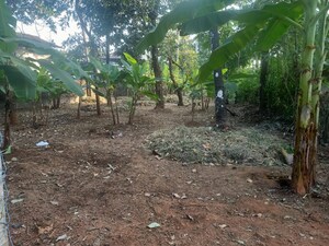 Plot Area in  Plot at Kolazhy – for Sale