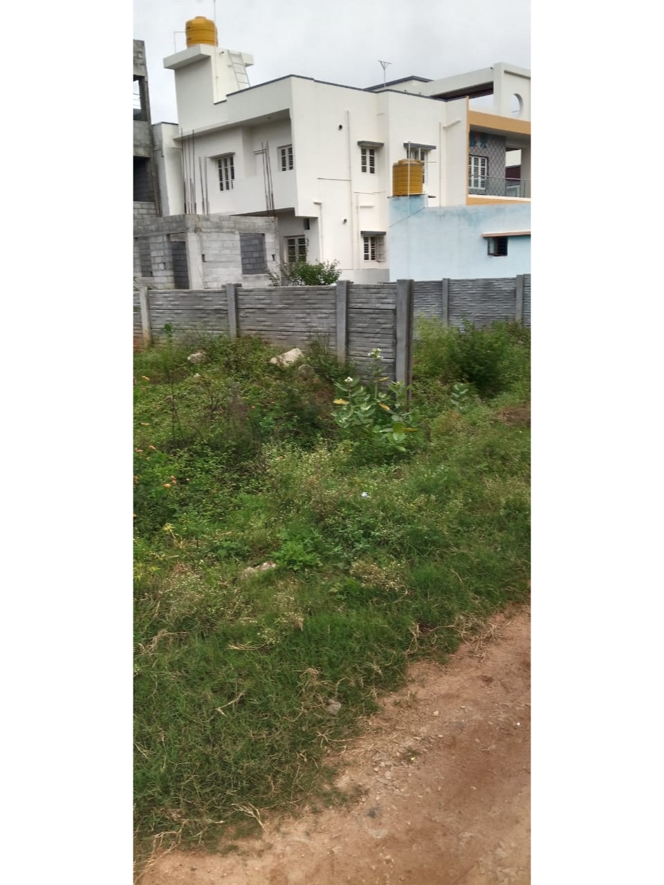 Plot For Sale in Nishchay