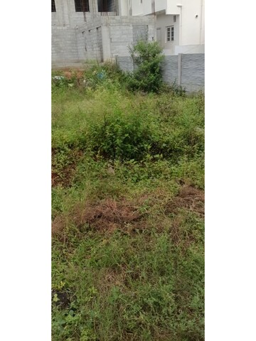 Plot Area in  Plot at Margondanahalli – for Sale