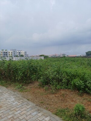  Plot For Sale in Bhopani