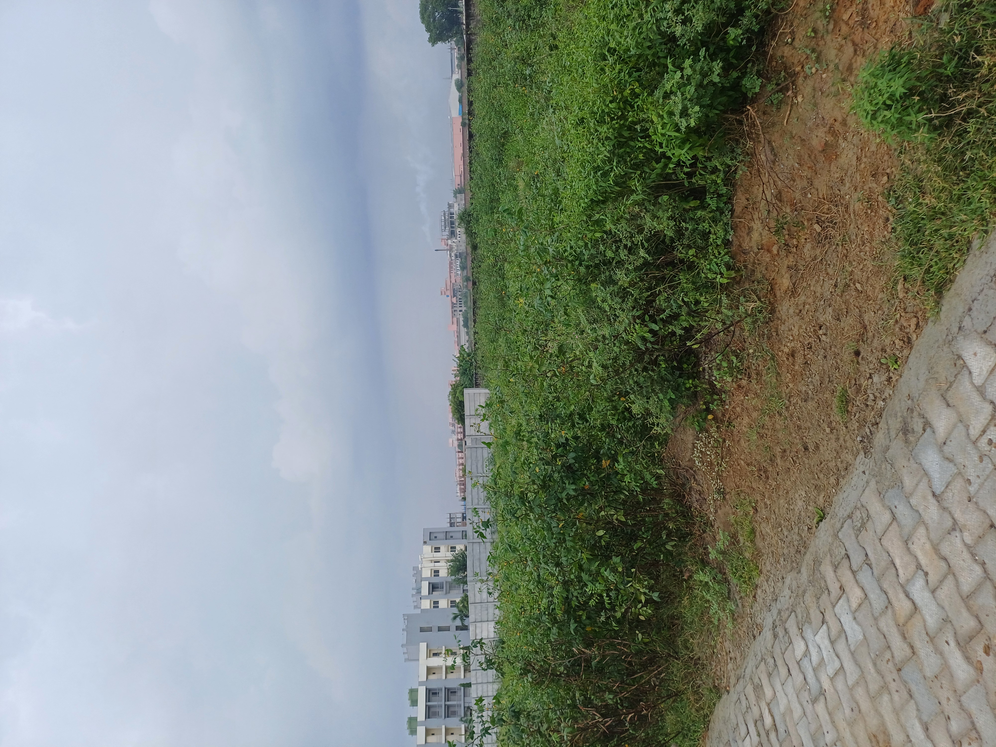 Plot For Sale in Jay Guru Ji Property 